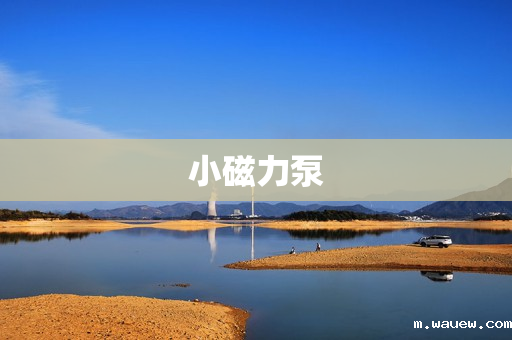 小磁力泵 小磁力泵