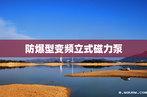 防爆型变频立式磁力泵 防爆型变频立式磁力泵