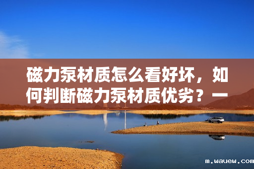 磁力泵材质怎么看好坏,如何判断磁力泵材质优劣?一文解析磁力泵材质选择关键点 磁力泵材质怎么看好坏,如何判断磁力泵材质优劣?一文解析磁力泵材质选择关键点
