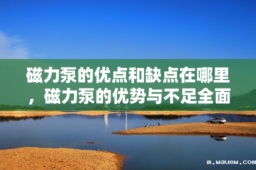 磁力泵的优点和缺点在哪里,磁力泵的优势与不足全面解析 磁力泵的优点和缺点在哪里,磁力泵的优势与不足全面解析