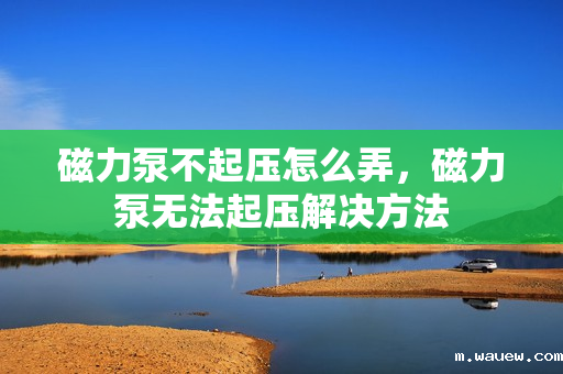 磁力泵不起压怎么弄,磁力泵无法起压解决方法 磁力泵不起压怎么弄,磁力泵无法起压解决方法