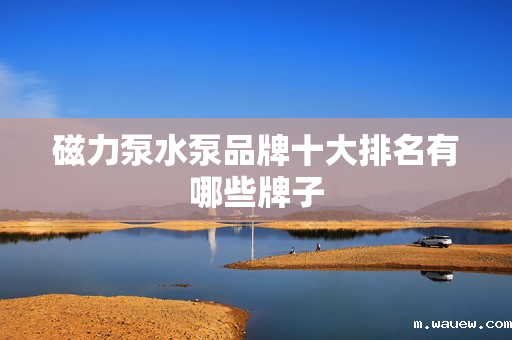 磁力泵水泵品牌十大排名有哪些牌子 磁力泵水泵品牌十大排名有哪些牌子