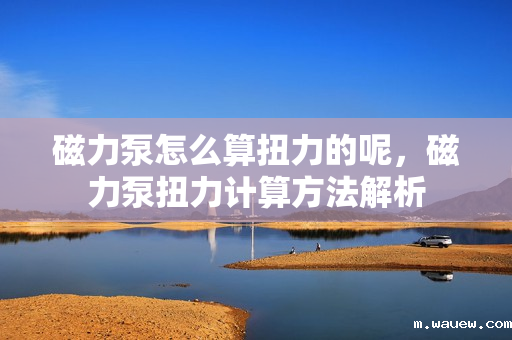 磁力泵怎么算扭力的呢,磁力泵扭力计算方法解析 磁力泵怎么算扭力的呢,磁力泵扭力计算方法解析