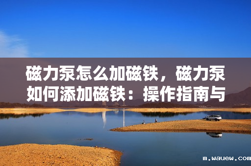 磁力泵怎么加磁铁,磁力泵如何添加磁铁:操作指南与步骤解析 磁力泵怎么加磁铁,磁力泵如何添加磁铁:操作指南与步骤解析