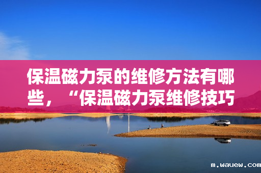 保温磁力泵的维修方法有哪些,“保温磁力泵维修技巧全解析” 保温磁力泵的维修方法有哪些,“保温磁力泵维修技巧全解析”