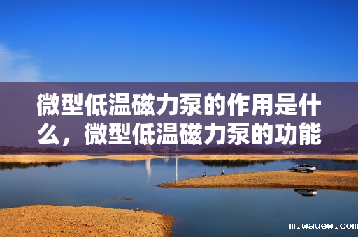 微型低温磁力泵的作用是什么,微型低温磁力泵的功能及应用解析 微型低温磁力泵的作用是什么,微型低温磁力泵的功能及应用解析