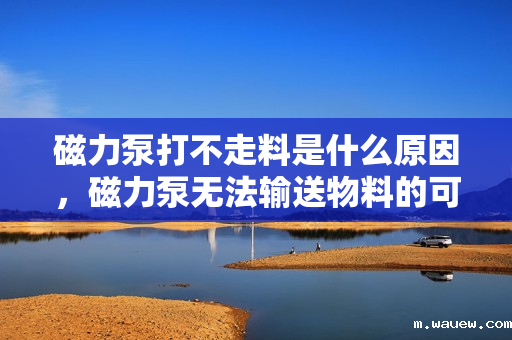 磁力泵打不走料是什么原因,磁力泵无法输送物料的可能原因及解决方案 磁力泵打不走料是什么原因,磁力泵无法输送物料的可能原因及解决方案