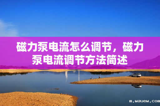 磁力泵电流怎么调节,磁力泵电流调节方法简述 磁力泵电流怎么调节,磁力泵电流调节方法简述
