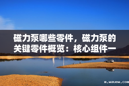 磁力泵哪些零件,磁力泵的关键零件概览:核心组件一览无余 磁力泵哪些零件,磁力泵的关键零件概览:核心组件一览无余