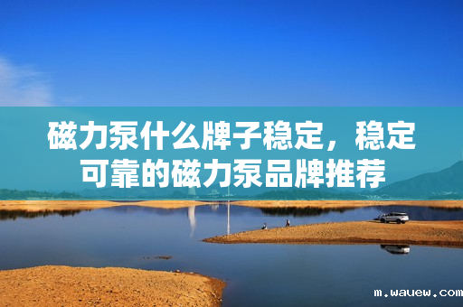 磁力泵什么牌子稳定,稳定可靠的磁力泵品牌推荐 磁力泵什么牌子稳定,稳定可靠的磁力泵品牌推荐