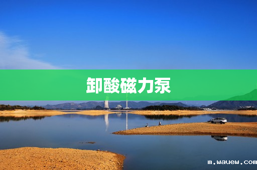 卸酸磁力泵 卸酸磁力泵