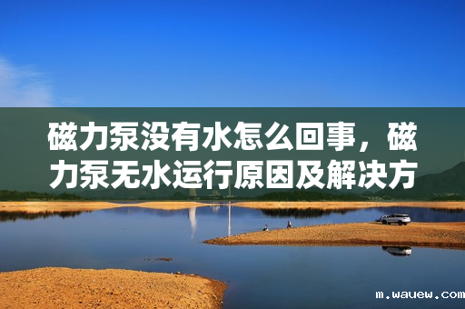 磁力泵没有水怎么回事,磁力泵无水运行原因及解决方法 磁力泵没有水怎么回事,磁力泵无水运行原因及解决方法