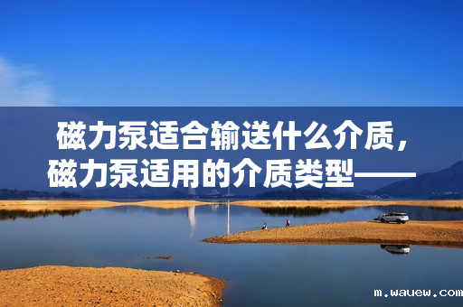 磁力泵适合输送什么介质,磁力泵适用的介质类型——高效、安全输送化学与腐蚀性液体 磁力泵适合输送什么介质,磁力泵适用的介质类型——高效、安全输送化学与腐蚀性液体