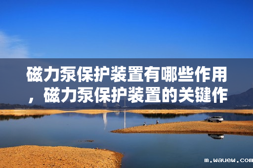 磁力泵保护装置有哪些作用,磁力泵保护装置的关键作用:全面保障泵运行安全与效率 磁力泵保护装置有哪些作用,磁力泵保护装置的关键作用:全面保障泵运行安全与效率