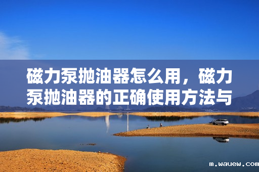磁力泵抛油器怎么用,磁力泵抛油器的正确使用方法与步骤 磁力泵抛油器怎么用,磁力泵抛油器的正确使用方法与步骤