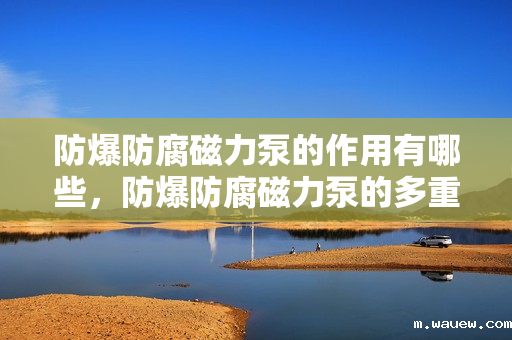 防爆防腐磁力泵的作用有哪些,防爆防腐磁力泵的多重功效:安全防爆与高效防腐的完美结合 防爆防腐磁力泵的作用有哪些,防爆防腐磁力泵的多重功效:安全防爆与高效防腐的完美结合