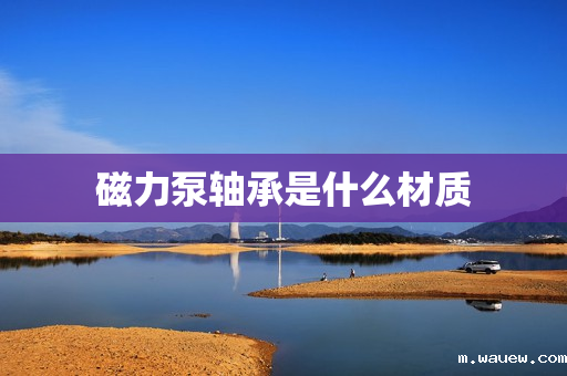 磁力泵轴承是什么材质 磁力泵轴承是什么材质