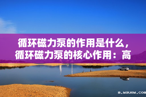 循环磁力泵的作用是什么,循环磁力泵的核心作用:高效无泄漏的流体传输解决方案 循环磁力泵的作用是什么,循环磁力泵的核心作用:高效无泄漏的流体传输解决方案