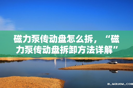 磁力泵传动盘怎么拆,“磁力泵传动盘拆卸方法详解” 磁力泵传动盘怎么拆,“磁力泵传动盘拆卸方法详解”