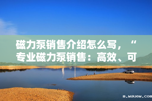 磁力泵销售介绍怎么写,“专业磁力泵销售:高效、可靠,满足您的流体传输需求” 磁力泵销售介绍怎么写,“专业磁力泵销售:高效、可靠,满足您的流体传输需求”