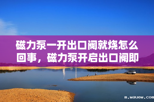 磁力泵一开出口阀就烧怎么回事,磁力泵开启出口阀即烧毁:可能原因及解决方案探讨 磁力泵一开出口阀就烧怎么回事,磁力泵开启出口阀即烧毁:可能原因及解决方案探讨