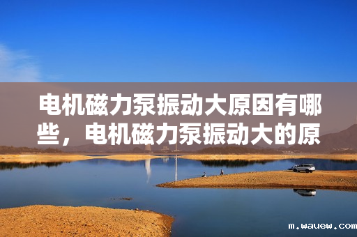 电机磁力泵振动大原因有哪些,电机磁力泵振动大的原因解析 电机磁力泵振动大原因有哪些,电机磁力泵振动大的原因解析