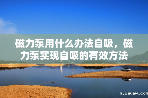 磁力泵用什么办法自吸,磁力泵实现自吸的有效方法 磁力泵用什么办法自吸,磁力泵实现自吸的有效方法