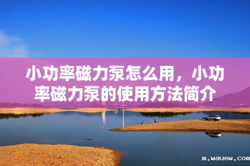 小功率磁力泵怎么用,小功率磁力泵的使用方法简介 小功率磁力泵怎么用,小功率磁力泵的使用方法简介