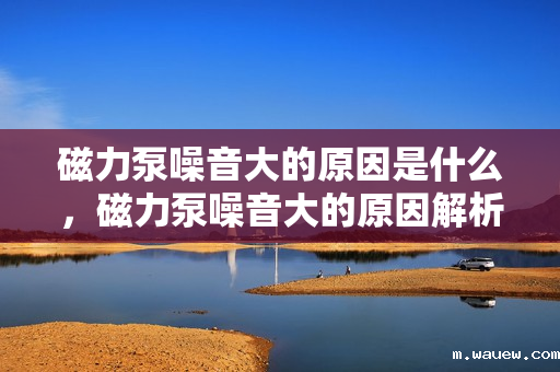 磁力泵噪音大的原因是什么,磁力泵噪音大的原因解析 磁力泵噪音大的原因是什么,磁力泵噪音大的原因解析