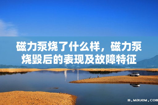 磁力泵烧了什么样,磁力泵烧毁后的表现及故障特征 磁力泵烧了什么样,磁力泵烧毁后的表现及故障特征