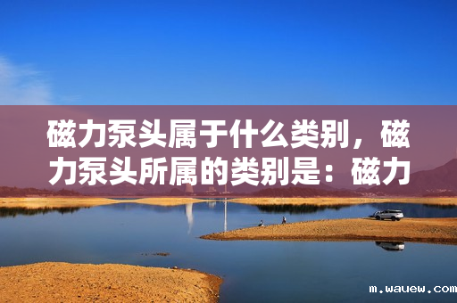 磁力泵头属于什么类别,磁力泵头所属的类别是:磁力驱动泵的关键部件或磁力泵组件 磁力泵头属于什么类别,磁力泵头所属的类别是:磁力驱动泵的关键部件或磁力泵组件