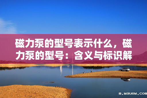 磁力泵的型号表示什么,磁力泵的型号:含义与标识解析 磁力泵的型号表示什么,磁力泵的型号:含义与标识解析