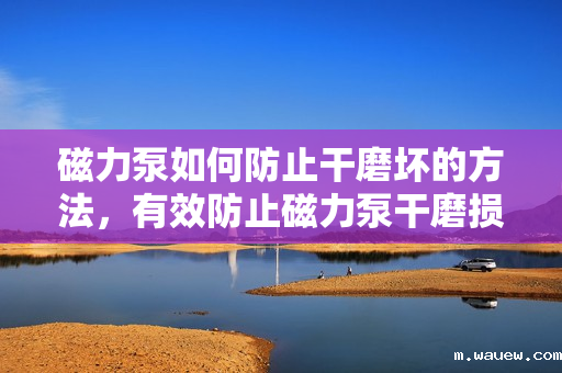 磁力泵如何防止干磨坏的方法,有效防止磁力泵干磨损坏的关键措施 磁力泵如何防止干磨坏的方法,有效防止磁力泵干磨损坏的关键措施
