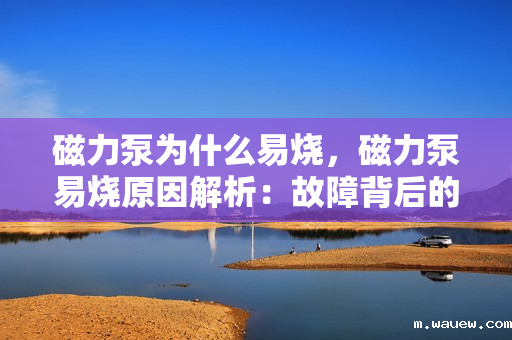 磁力泵为什么易烧,磁力泵易烧原因解析:故障背后的关键因素探讨 磁力泵为什么易烧,磁力泵易烧原因解析:故障背后的关键因素探讨