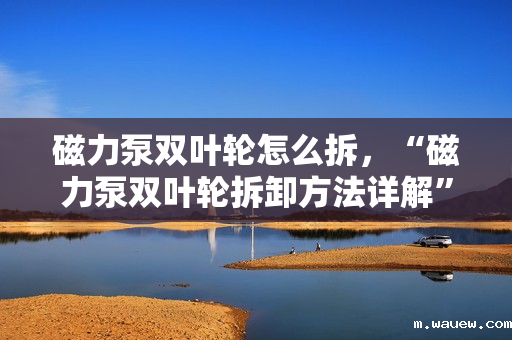 磁力泵双叶轮怎么拆,“磁力泵双叶轮拆卸方法详解” 磁力泵双叶轮怎么拆,“磁力泵双叶轮拆卸方法详解”