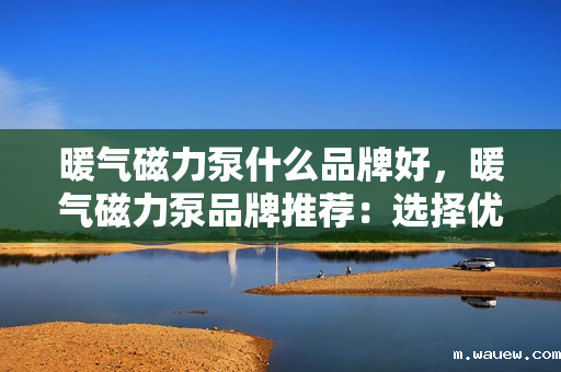 暖气磁力泵什么品牌好,暖气磁力泵品牌推荐:选择优质供暖设备的首选指南 暖气磁力泵什么品牌好,暖气磁力泵品牌推荐:选择优质供暖设备的首选指南