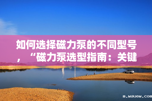如何选择磁力泵的不同型号,“磁力泵选型指南:关键步骤与考虑因素助力挑选最适合型号” 如何选择磁力泵的不同型号,“磁力泵选型指南:关键步骤与考虑因素助力挑选最适合型号”
