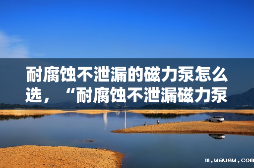 耐腐蚀不泄漏的磁力泵怎么选,“耐腐蚀不泄漏磁力泵选购指南:关键要素与实用技巧” 耐腐蚀不泄漏的磁力泵怎么选,“耐腐蚀不泄漏磁力泵选购指南:关键要素与实用技巧”