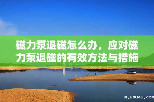 磁力泵退磁怎么办,应对磁力泵退磁的有效方法与措施 磁力泵退磁怎么办,应对磁力泵退磁的有效方法与措施