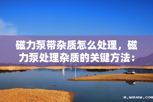 磁力泵带杂质怎么处理,磁力泵处理杂质的关键方法:有效清除与防止堵塞 磁力泵带杂质怎么处理,磁力泵处理杂质的关键方法:有效清除与防止堵塞