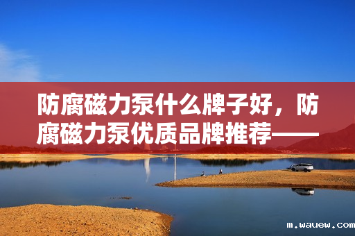 防腐磁力泵什么牌子好,防腐磁力泵优质品牌推荐——选购指南及市场口碑解析 防腐磁力泵什么牌子好,防腐磁力泵优质品牌推荐——选购指南及市场口碑解析