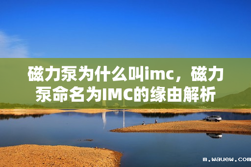 磁力泵为什么叫imc,磁力泵命名为IMC的缘由解析 磁力泵为什么叫imc,磁力泵命名为IMC的缘由解析