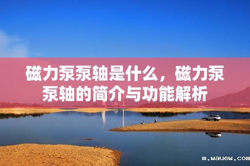 磁力泵泵轴是什么,磁力泵泵轴的简介与功能解析 磁力泵泵轴是什么,磁力泵泵轴的简介与功能解析