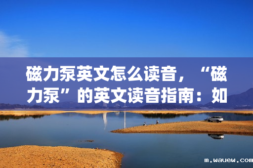 磁力泵英文怎么读音,“磁力泵”的英文读音指南:如何正确发音Magnetic Pump 磁力泵英文怎么读音,“磁力泵”的英文读音指南:如何正确发音Magnetic Pump