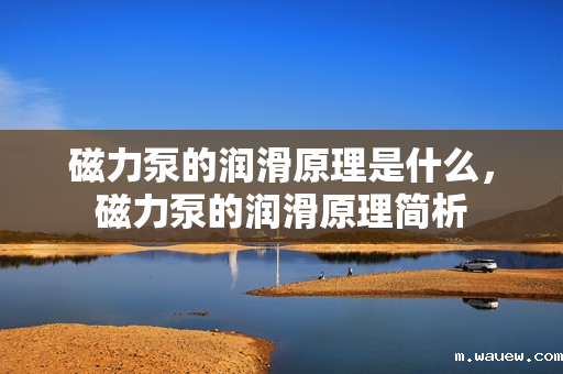 磁力泵的润滑原理是什么,磁力泵的润滑原理简析 磁力泵的润滑原理是什么,磁力泵的润滑原理简析