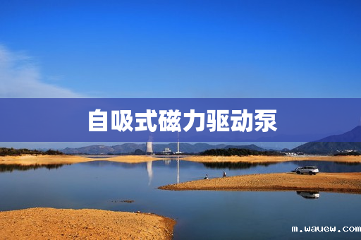 自吸式磁力驱动泵 自吸式磁力驱动泵