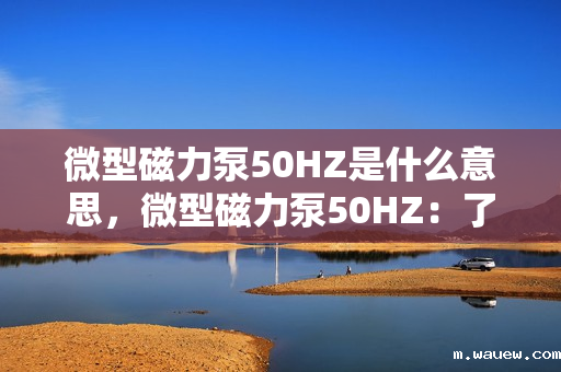 微型磁力泵50HZ是什么意思,微型磁力泵50HZ:了解50HZ频率下微型磁力泵的工作特性及应用 微型磁力泵50HZ是什么意思,微型磁力泵50HZ:了解50HZ频率下微型磁力泵的工作特性及应用