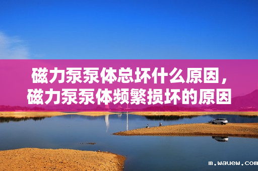 磁力泵泵体总坏什么原因,磁力泵泵体频繁损坏的原因解析 磁力泵泵体总坏什么原因,磁力泵泵体频繁损坏的原因解析