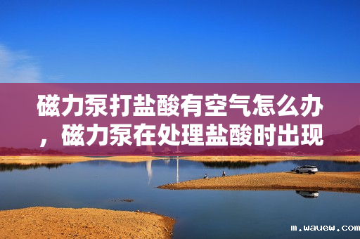 磁力泵打盐酸有空气怎么办,磁力泵在处理盐酸时出现空气问题的解决方案 磁力泵打盐酸有空气怎么办,磁力泵在处理盐酸时出现空气问题的解决方案