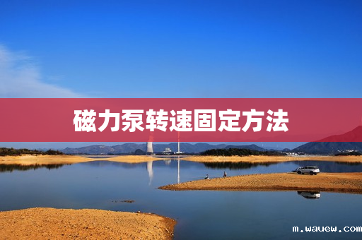 磁力泵转速固定方法 磁力泵转速固定方法